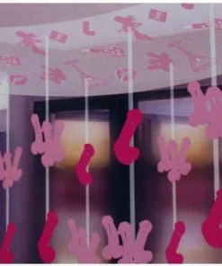 Bachelorette Superstore Dangling Willies Ceiling Decoration $1.99 And Under