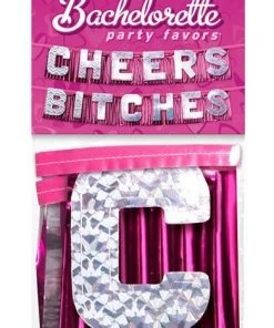 Bachelorette Superstore 'Cheers Bitches' Banner Decorations