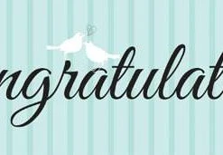 Bachelorette Superstore $1.99 And Under Two Love Birds Teal - Giant Banner, 20"x60"